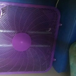 Fan